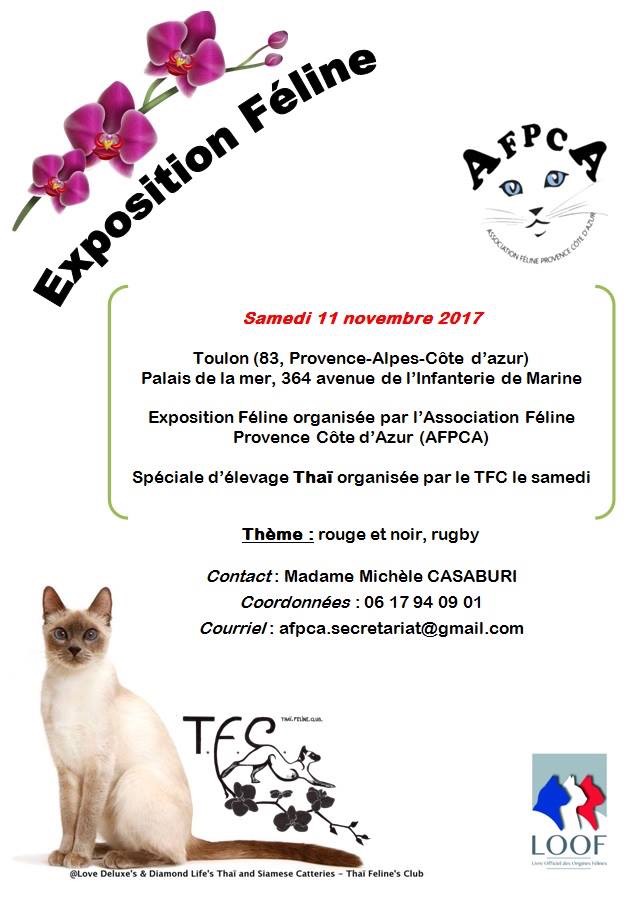 affiche toulon