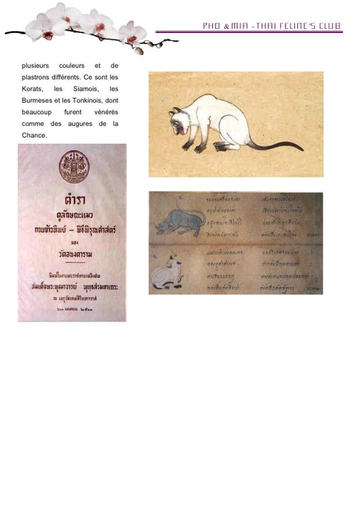 Siamois de hier, Thai d'aujourd'hui... Part 1 - Histoire & Mystre-3 (gliss(e)s)
