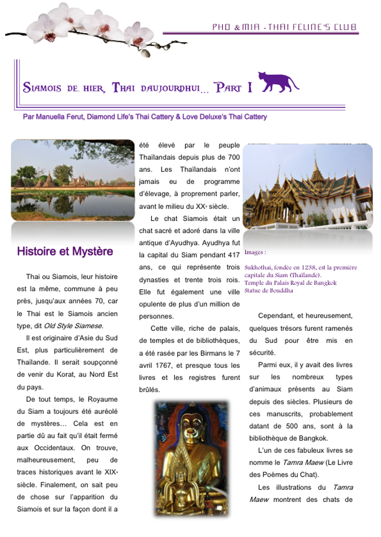 Siamois de hier, Thai d'aujourd'hui... Part 1 - Histoire & Mystre-3 (gliss(e)s)